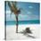 Palm Tree and Beach Chair-null-Stretched Canvas