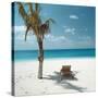 Palm Tree and Beach Chair-null-Stretched Canvas