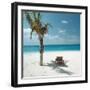 Palm Tree and Beach Chair-null-Framed Photographic Print