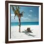 Palm Tree and Beach Chair-null-Framed Photographic Print