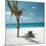 Palm Tree and Beach Chair-null-Mounted Photographic Print