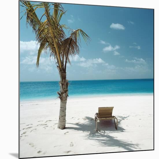 Palm Tree and Beach Chair-null-Mounted Photographic Print