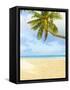 Palm Tree and Beach in the Maldives-John Harper-Framed Stretched Canvas