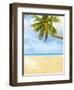 Palm Tree and Beach in the Maldives-John Harper-Framed Photographic Print