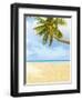 Palm Tree and Beach in the Maldives-John Harper-Framed Photographic Print