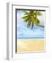 Palm Tree and Beach in the Maldives-John Harper-Framed Photographic Print