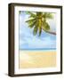 Palm Tree and Beach in the Maldives-John Harper-Framed Photographic Print