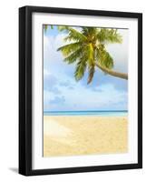 Palm Tree and Beach in the Maldives-John Harper-Framed Photographic Print