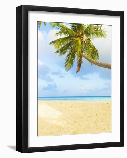 Palm Tree and Beach in the Maldives-John Harper-Framed Photographic Print