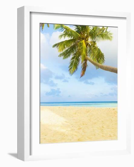 Palm Tree and Beach in the Maldives-John Harper-Framed Photographic Print