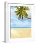 Palm Tree and Beach in the Maldives-John Harper-Framed Photographic Print