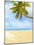 Palm Tree and Beach in the Maldives-John Harper-Mounted Photographic Print