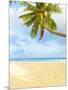 Palm Tree and Beach in the Maldives-John Harper-Mounted Photographic Print