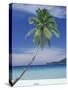 Palm Tree and Beach, Long Beach, Perhentian Kecil, Terenggenu (Terengganu), Malaysia-Robert Francis-Stretched Canvas