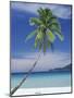 Palm Tree and Beach, Long Beach, Perhentian Kecil, Terenggenu (Terengganu), Malaysia-Robert Francis-Mounted Photographic Print