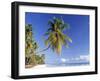 Palm Tree and Beach, Zanzibar, Tanzania-Peter Adams-Framed Photographic Print