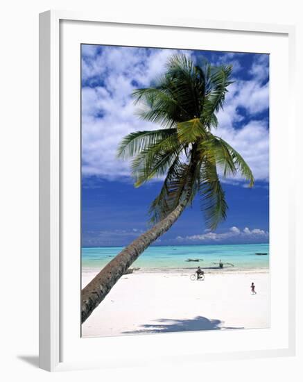 Palm Tree and Beach, Zanzibar, Tanzania-Peter Adams-Framed Photographic Print