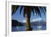 Palm Tree and Boats Moored in Picton Harbour, Marlborough Sounds, South Island, New Zealand-David Wall-Framed Photographic Print