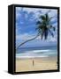 Palm Tree and Coconut Seller, Hikkaduwa Beach, Sri Lanka-Yadid Levy-Framed Stretched Canvas