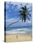 Palm Tree and Coconut Seller, Hikkaduwa Beach, Sri Lanka-Yadid Levy-Stretched Canvas