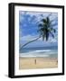 Palm Tree and Coconut Seller, Hikkaduwa Beach, Sri Lanka-Yadid Levy-Framed Photographic Print