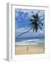 Palm Tree and Coconut Seller, Hikkaduwa Beach, Sri Lanka-Yadid Levy-Framed Photographic Print