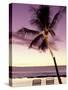 Palm Tree and Indian Ocean at Dusk, Maldives-Michele Westmorland-Stretched Canvas