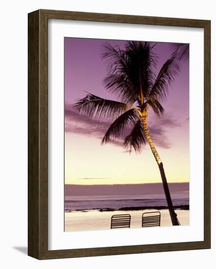 Palm Tree and Indian Ocean at Dusk, Maldives-Michele Westmorland-Framed Photographic Print