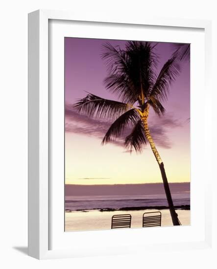 Palm Tree and Indian Ocean at Dusk, Maldives-Michele Westmorland-Framed Photographic Print