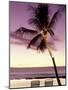 Palm Tree and Indian Ocean at Dusk, Maldives-Michele Westmorland-Mounted Photographic Print