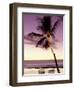 Palm Tree and Indian Ocean at Dusk, Maldives-Michele Westmorland-Framed Photographic Print