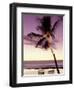 Palm Tree and Indian Ocean at Dusk, Maldives-Michele Westmorland-Framed Photographic Print