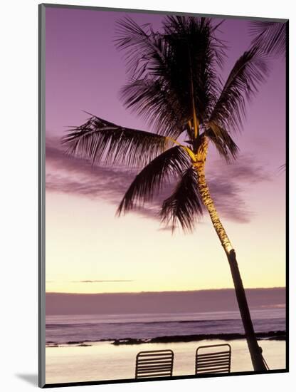 Palm Tree and Indian Ocean at Dusk, Maldives-Michele Westmorland-Mounted Photographic Print