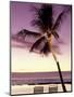 Palm Tree and Indian Ocean at Dusk, Maldives-Michele Westmorland-Mounted Photographic Print