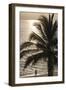 Palm Tree and Men at Sunset, Stone Town, Zanzibar, Tanzania-Alida Latham-Framed Photographic Print