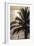 Palm Tree and Men at Sunset, Stone Town, Zanzibar, Tanzania-Alida Latham-Framed Photographic Print