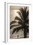 Palm Tree and Men at Sunset, Stone Town, Zanzibar, Tanzania-Alida Latham-Framed Photographic Print