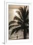 Palm Tree and Men at Sunset, Stone Town, Zanzibar, Tanzania-Alida Latham-Framed Photographic Print