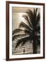 Palm Tree and Men at Sunset, Stone Town, Zanzibar, Tanzania-Alida Latham-Framed Photographic Print