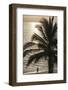 Palm Tree and Men at Sunset, Stone Town, Zanzibar, Tanzania-Alida Latham-Framed Photographic Print