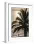 Palm Tree and Men at Sunset, Stone Town, Zanzibar, Tanzania-Alida Latham-Framed Photographic Print