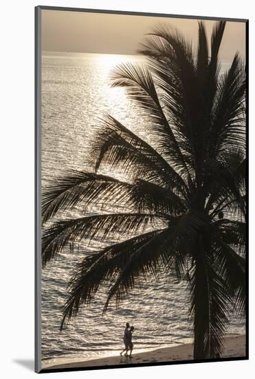 Palm Tree and Men at Sunset, Stone Town, Zanzibar, Tanzania-Alida Latham-Mounted Photographic Print