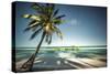 Palm Tree and Shadows on a Tropical Beach, Praia Dos Carneiros, Brazil-Dantelaurini-Stretched Canvas