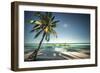 Palm Tree and Shadows on a Tropical Beach, Praia Dos Carneiros, Brazil-Dantelaurini-Framed Photographic Print