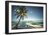 Palm Tree and Shadows on a Tropical Beach, Praia Dos Carneiros, Brazil-Dantelaurini-Framed Photographic Print