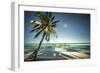 Palm Tree and Shadows on a Tropical Beach, Praia Dos Carneiros, Brazil-Dantelaurini-Framed Photographic Print