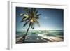 Palm Tree and Shadows on a Tropical Beach, Praia Dos Carneiros, Brazil-Dantelaurini-Framed Photographic Print