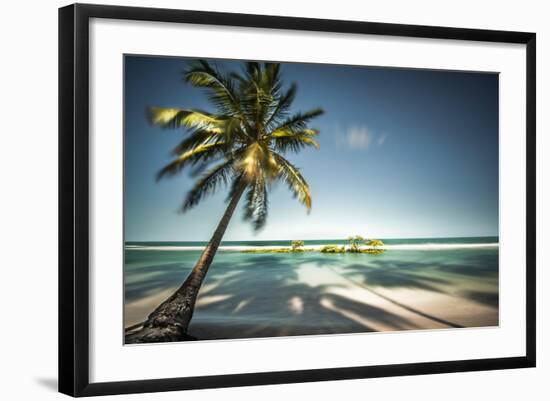 Palm Tree and Shadows on a Tropical Beach, Praia Dos Carneiros, Brazil-Dantelaurini-Framed Photographic Print