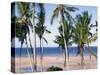 Palm Tree and Tropical Beach on the Coast of Mozambique, Africa-Groenendijk Peter-Stretched Canvas