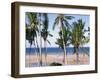 Palm Tree and Tropical Beach on the Coast of Mozambique, Africa-Groenendijk Peter-Framed Photographic Print